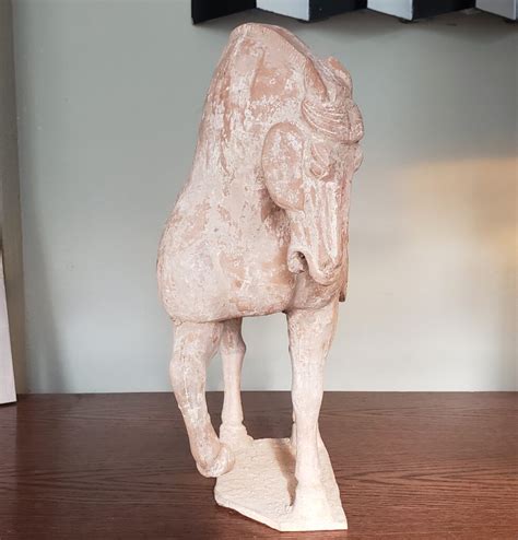 Caballo terracota Continuara.org