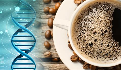 Cafe energetico te Continuara.org