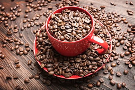 Cafe Continuara.org