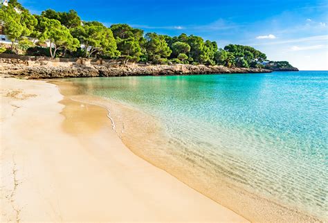 Cala dor Continuara.org