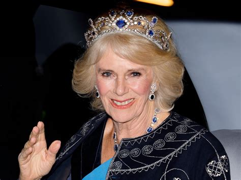 Camilla Continuara.org
