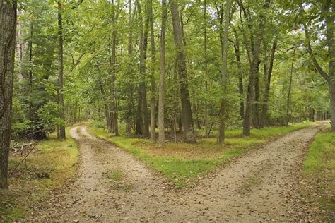 Caminos Continuara.org