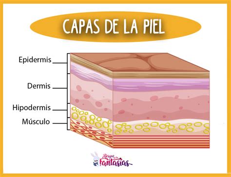 Capa piel Continuara.org