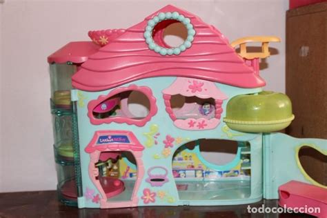 Casa little pet Continuara.org