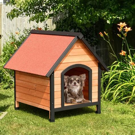 Casa perro Continuara.org