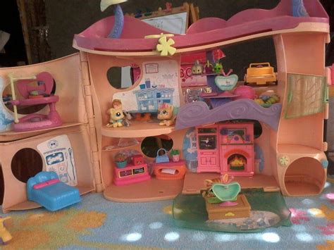 Casa pet shop Continuara.org