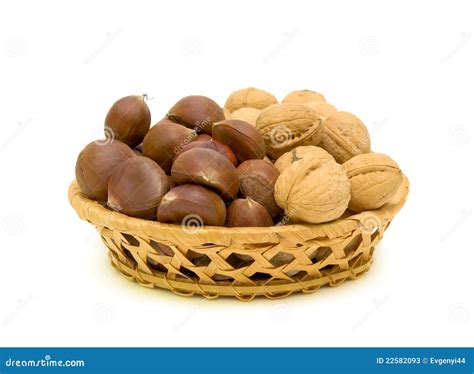Castanas nueces Continuara.org
