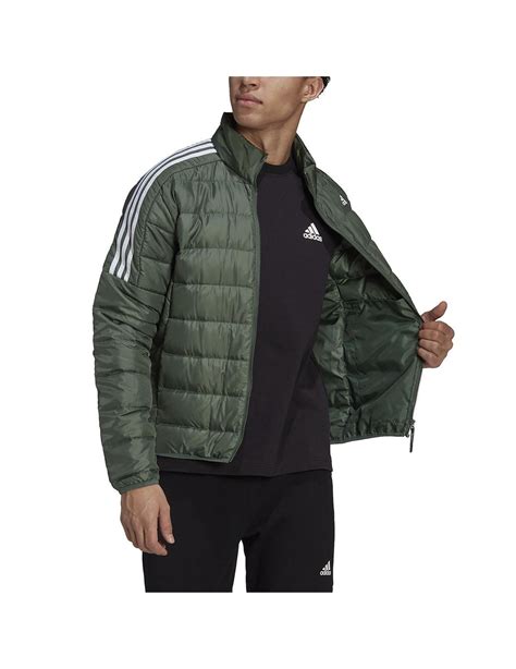 Cazadora adidas hombre Continuara.org