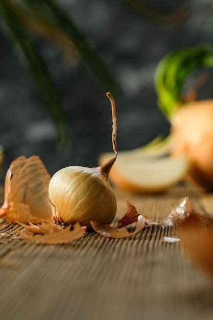 Cebollas caseras Continuara.org