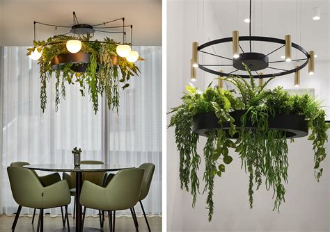 Centros plantas lamparas Continuara.org