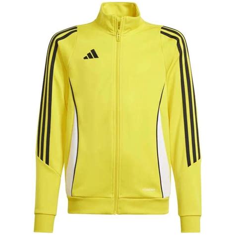 Chandals marca chaqueta Continuara.org
