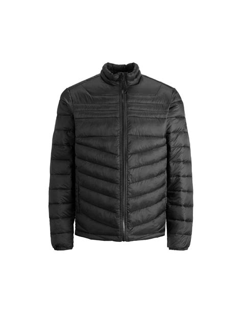 Chaqueta jackjones Continuara.org