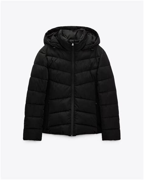 Chaquetas zara basicas Continuara.org