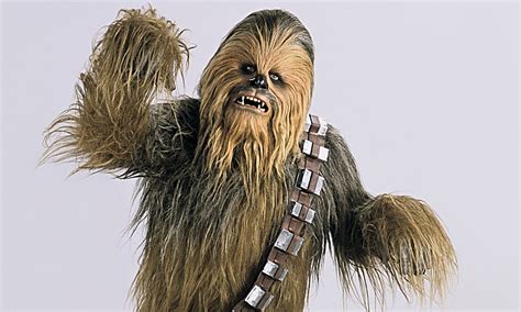Chewbacca star wars Continuara.org