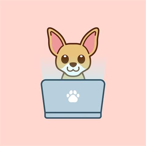 Chihuahua x portatil Continuara.org