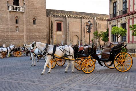 Coche caballoken Continuara.org