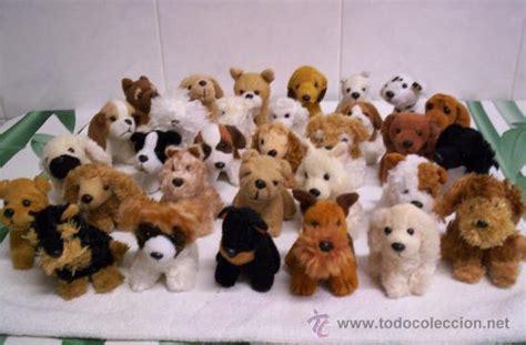 Coleccion perros peluche Continuara.org