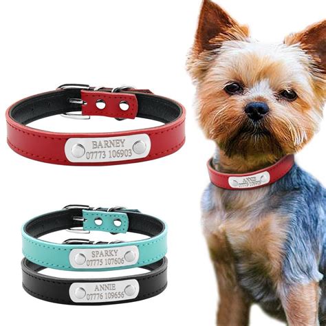 Collar mascota Continuara.org
