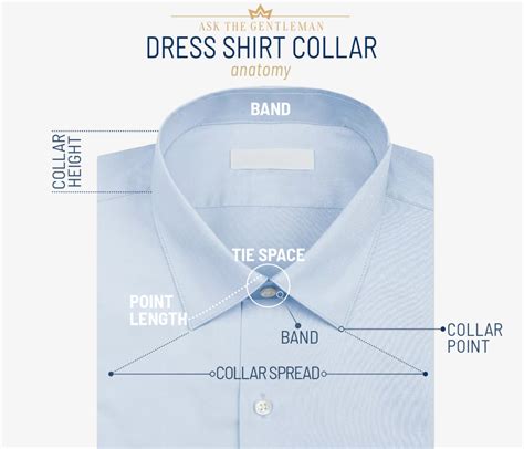 Collar Continuara.org