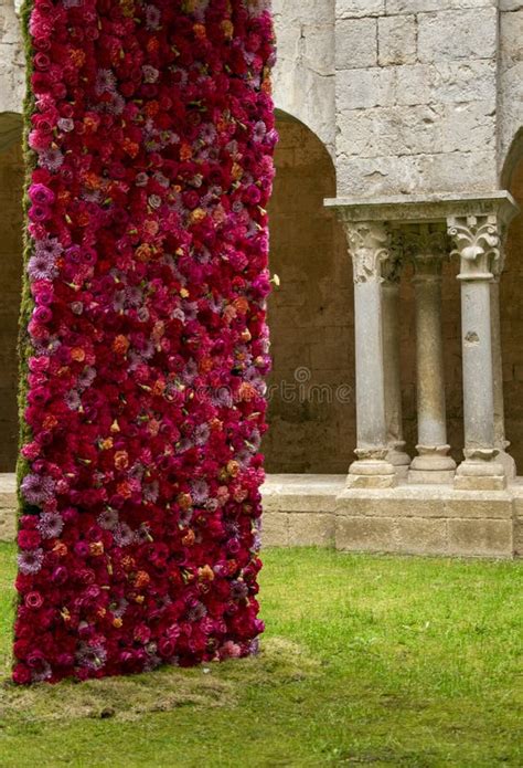 Columna flores Continuara.org