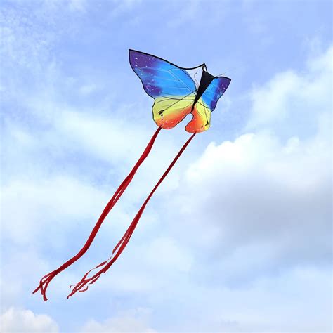 Cometa grande mariposa Continuara.org