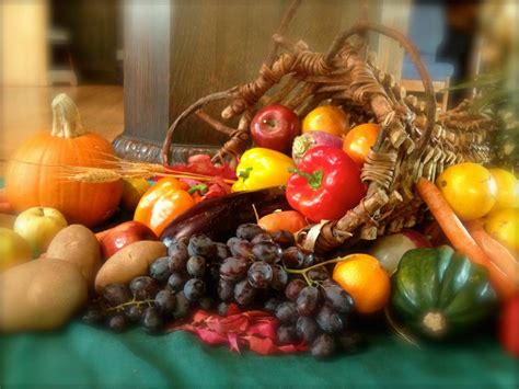 Cornucopia Continuara.org