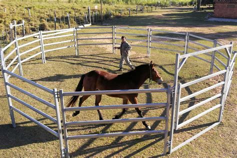 Corral Continuara.org