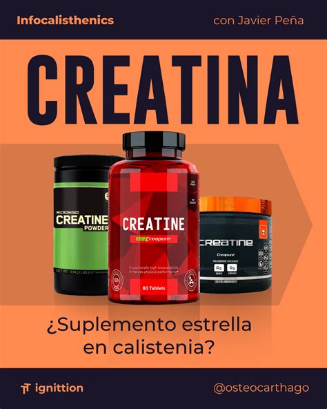 Creatina suplemento deportivo Continuara.org
