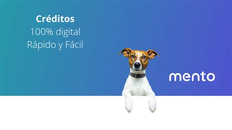 Credito rapida confiable Continuara.org
