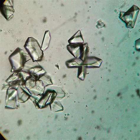 Cristales na Continuara.org