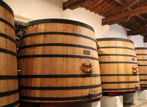 Cuba vino Continuara.org