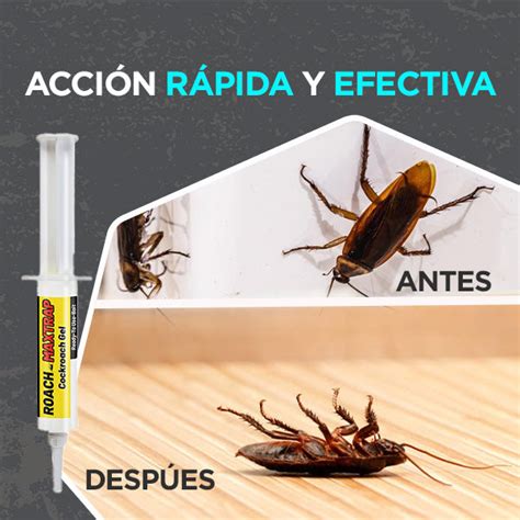 Cucaracha 2x1 Continuara.org