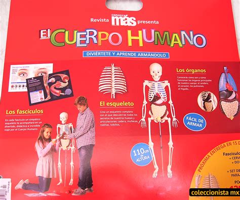 Cuerpo humano rba Continuara.org