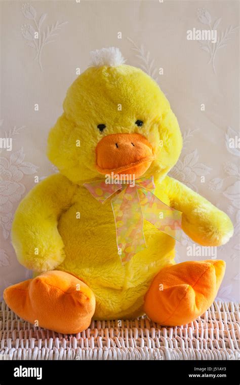Cute fluffy soft Continuara.org