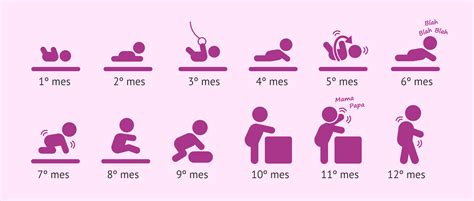 Desarrollo bebe Continuara.org
