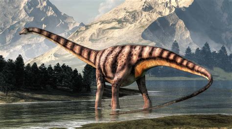 Dinosaurio diplodocus Continuara.org