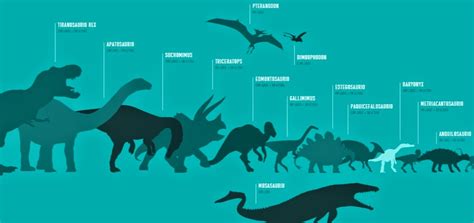 Dinosaurios tamano Continuara.org