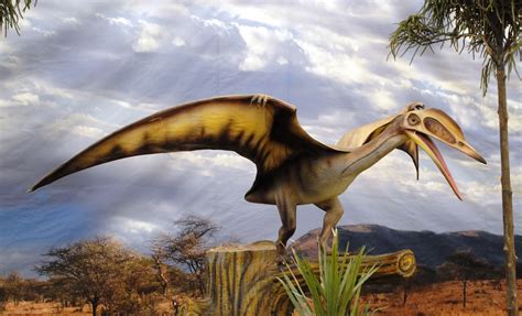 Dinosaurios Continuara.org