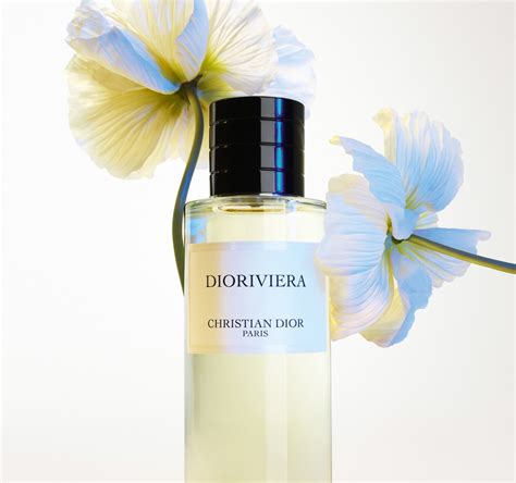 Dior Continuara.org