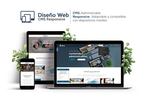 Disenos paginas webs Continuara.org