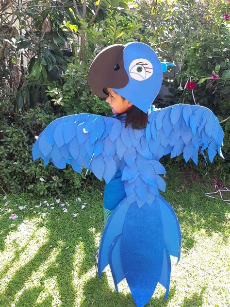 Disfraz pajaro Continuara.org