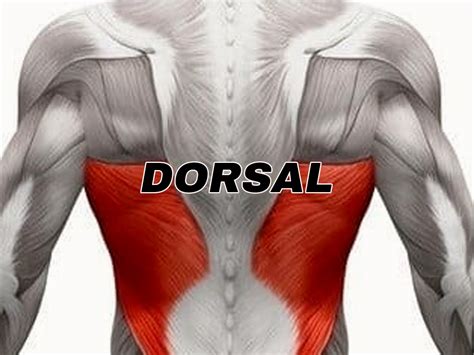 Dorsal 10 k Continuara.org