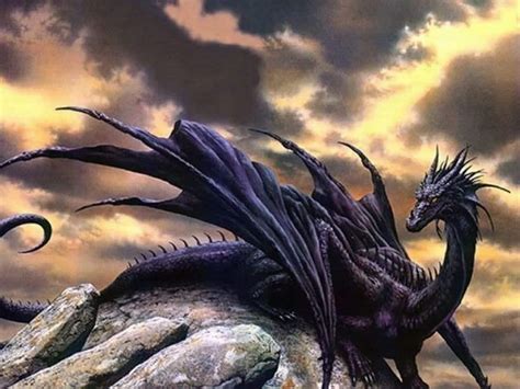 Drago Continuara.org