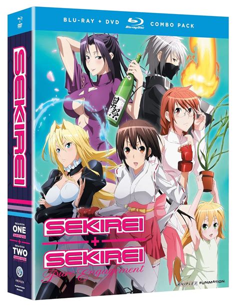Dvd manga Continuara.org
