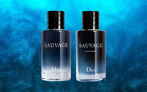 Eau toilette versus Continuara.org