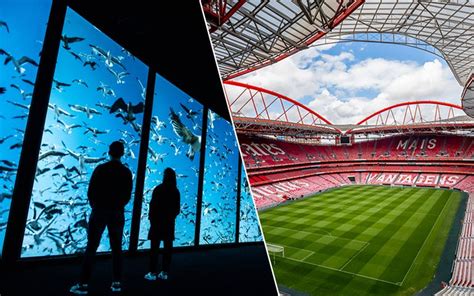 Entradas benfica Continuara.org