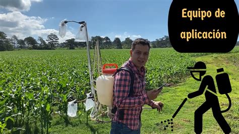 Equipo cultivo Continuara.org
