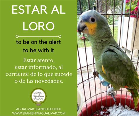 Estar al loro Continuara.org