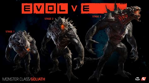 Evolve Continuara.org