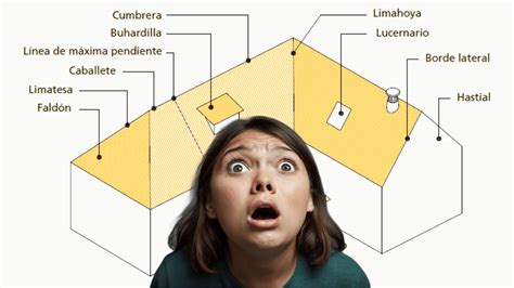 Faldon Continuara.org